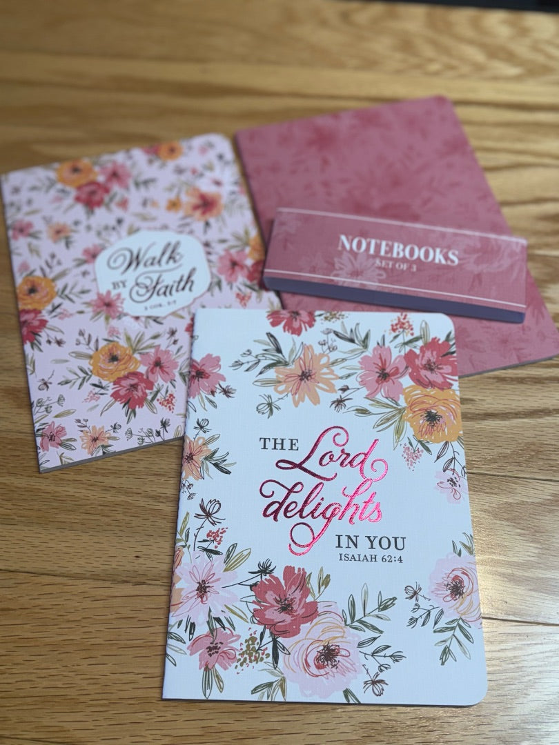 Pink Notebook Set of 3